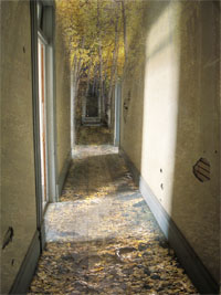 Aspen Hallway